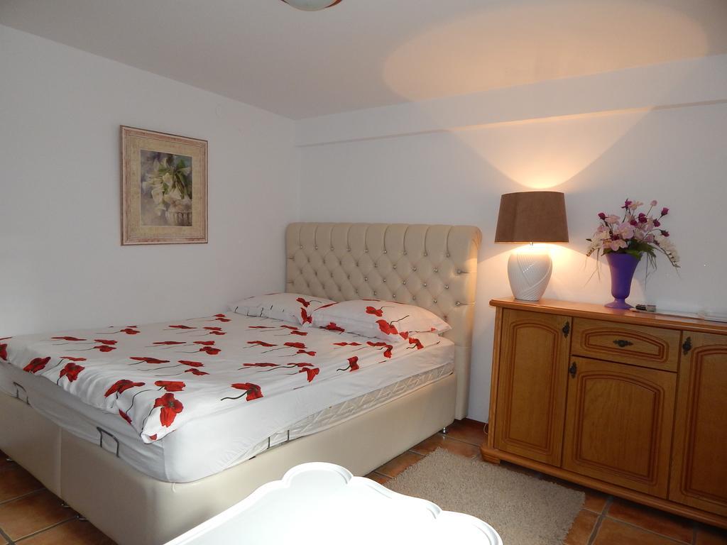 Willa Solina Hotel Солина Стая снимка