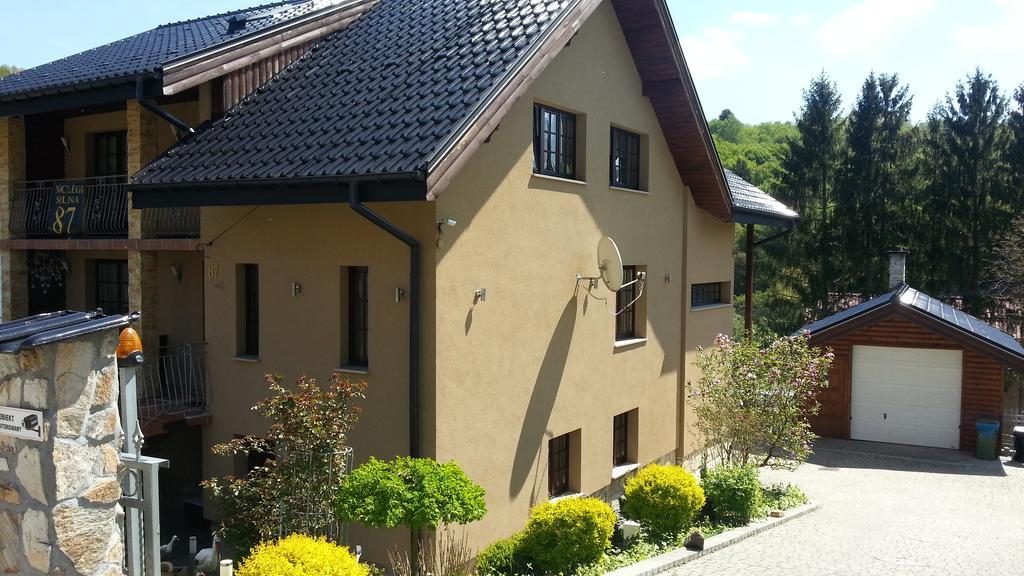 Willa Solina Hotel Солина Екстериор снимка
