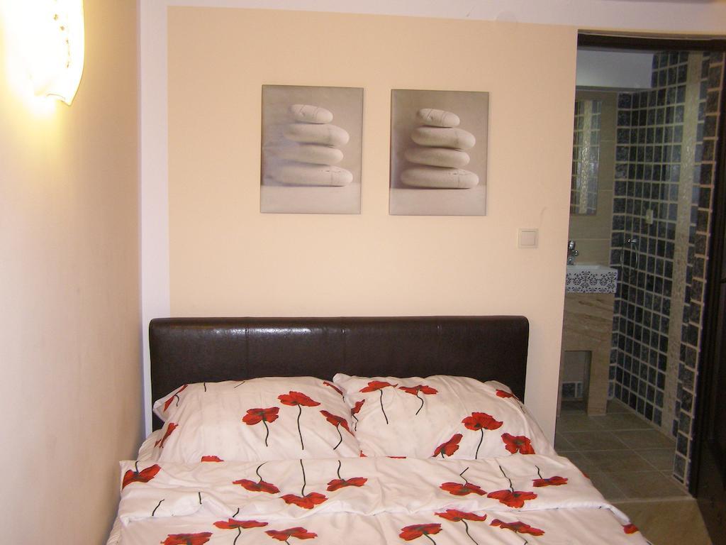 Willa Solina Hotel Солина Екстериор снимка