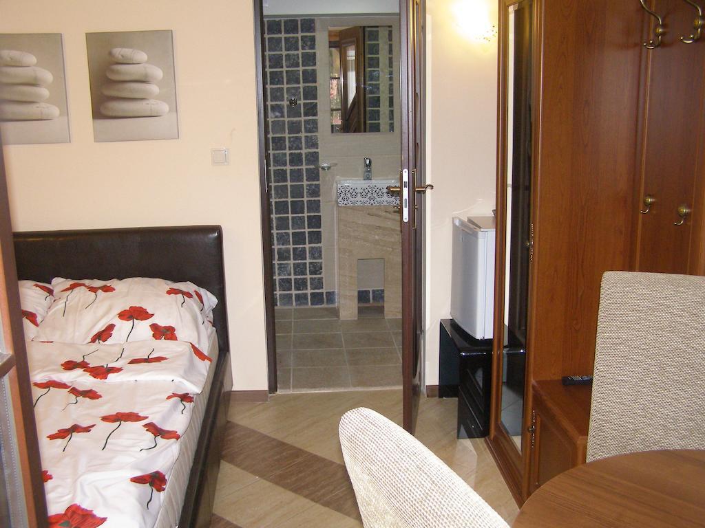 Willa Solina Hotel Солина Стая снимка